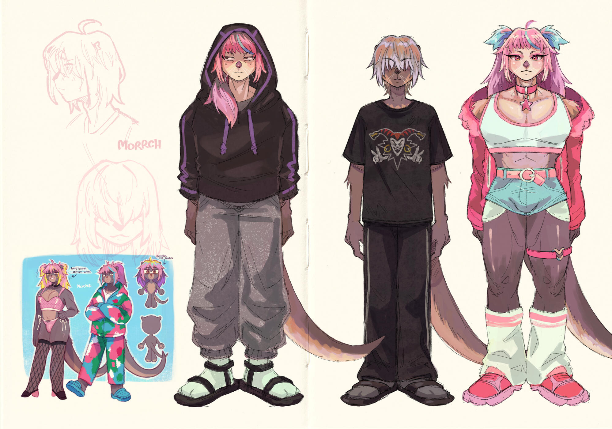 Hoshi reference sheet Hoshi